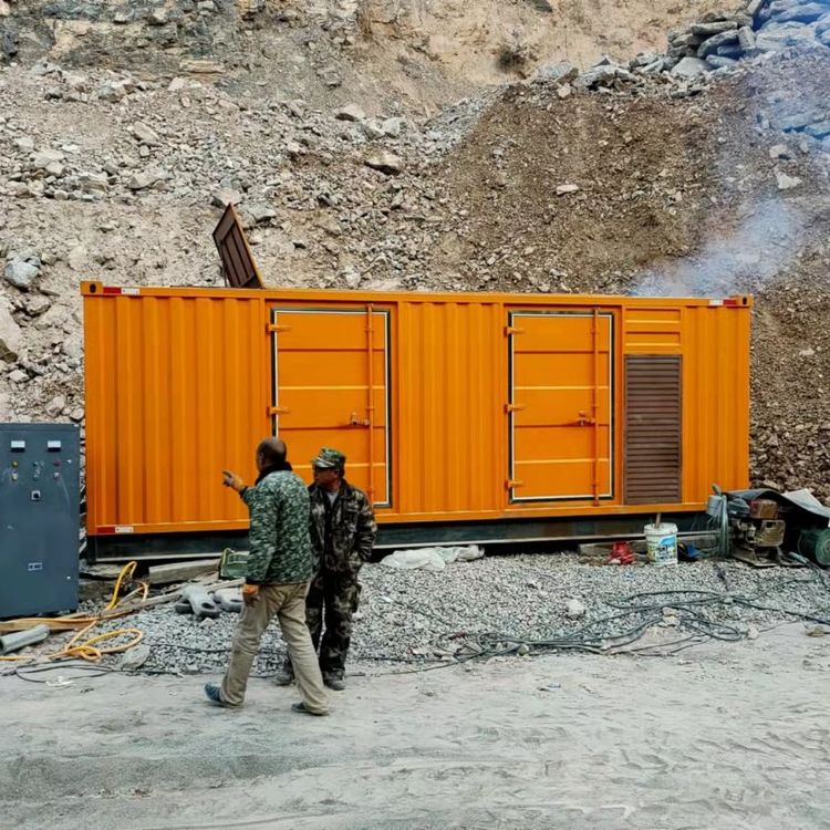 陈场镇如何选择适合自己的 800KW 柴油发电机组？